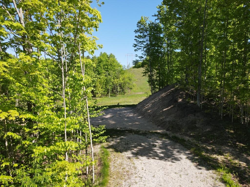 Tbd Pesek Road East Jordan, MI 49727 - Photo 4 of 28