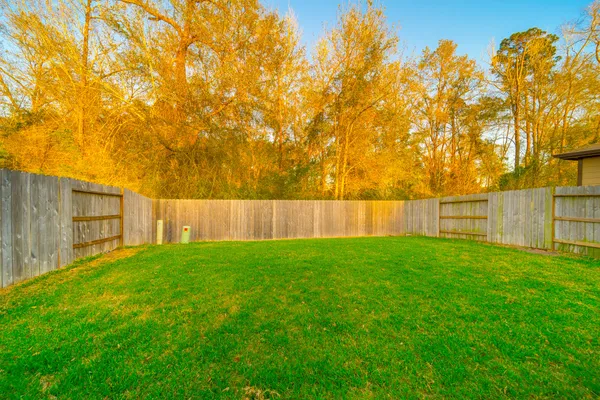 a view of a backyard with large trees