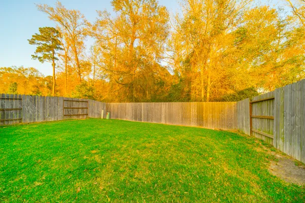 a view of a backyard