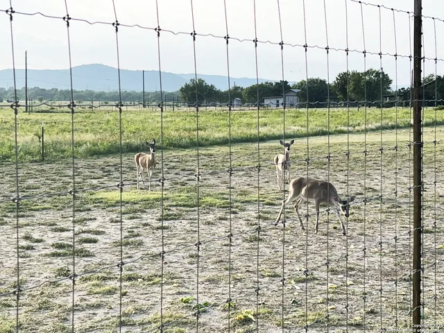 $480,000 | 867 Rivertree Road, Rio Frio, TX 78879