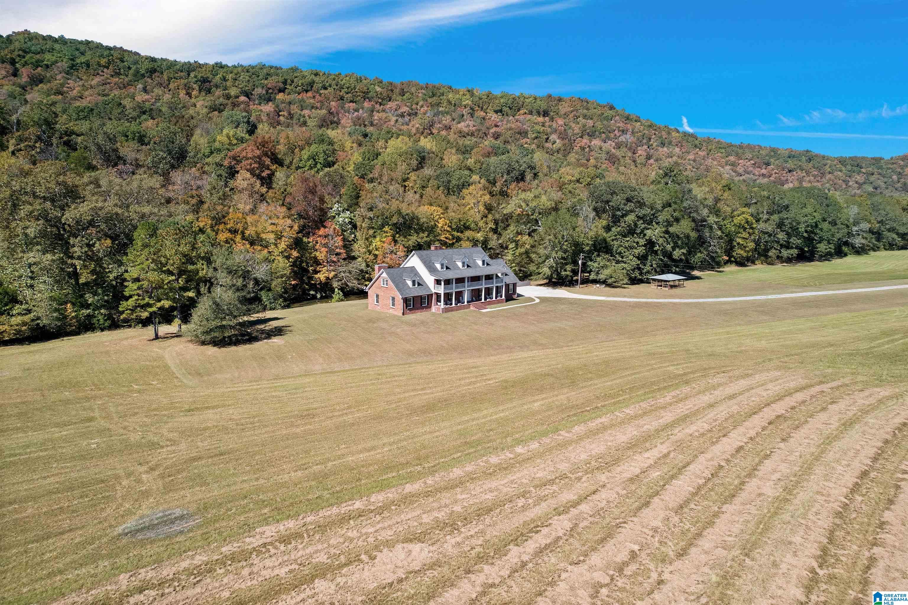 934 Fred Walker Road Oneonta, AL 35121 - Photo 4 of 78