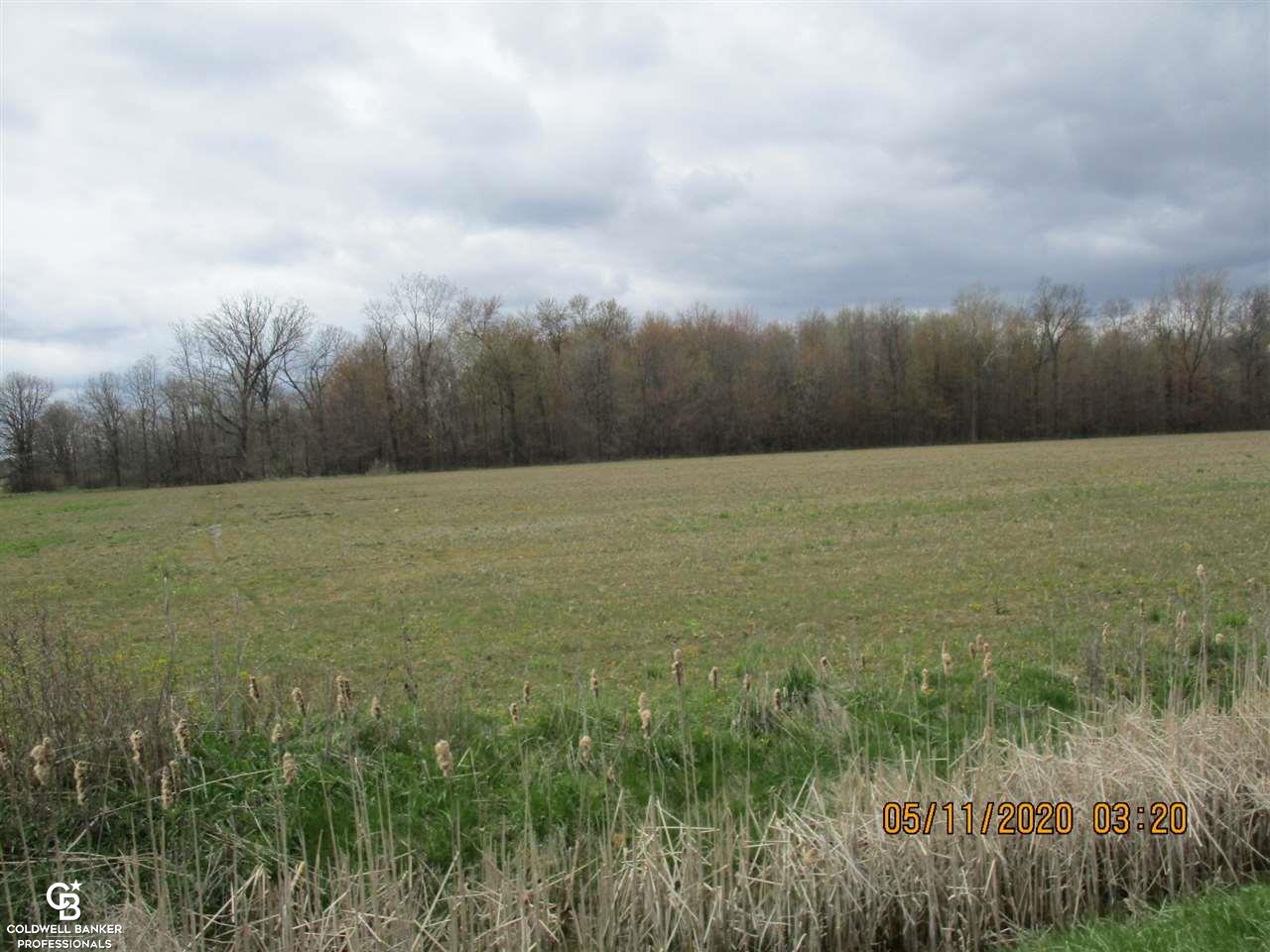 0 Place Rd Parcel B New Haven, MI 48050 - Photo 1 of 4