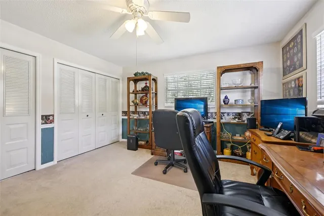 a view of a park with plants and trees