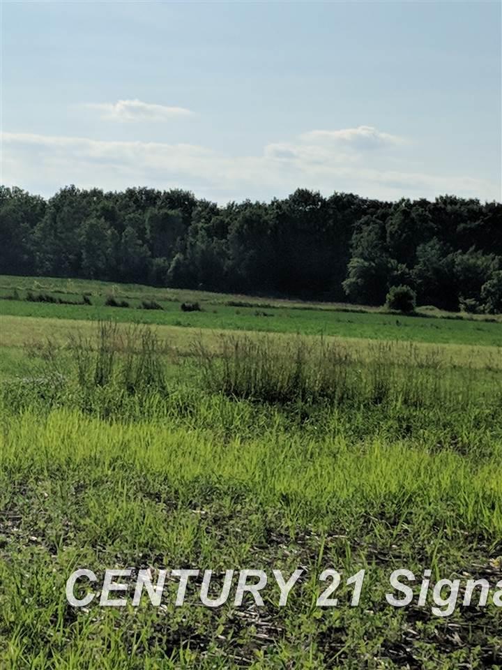 13800 Spencer Road Hemlock, MI 48626 - Photo 11 of 15