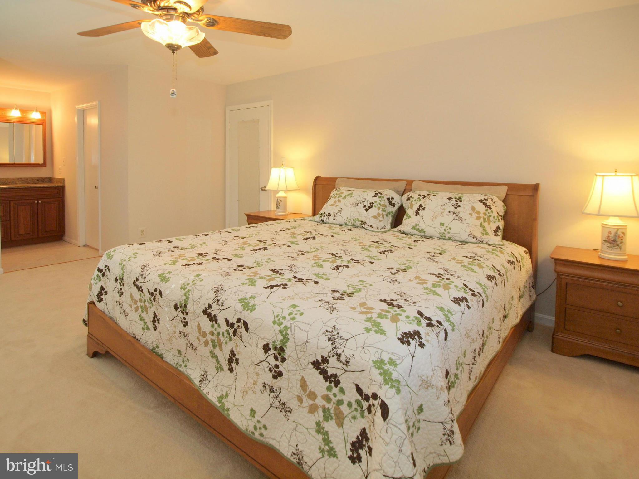 7219 Reservation Drive Springfield, VA 22153 - Photo 15 of 28 Bedroom (Master)