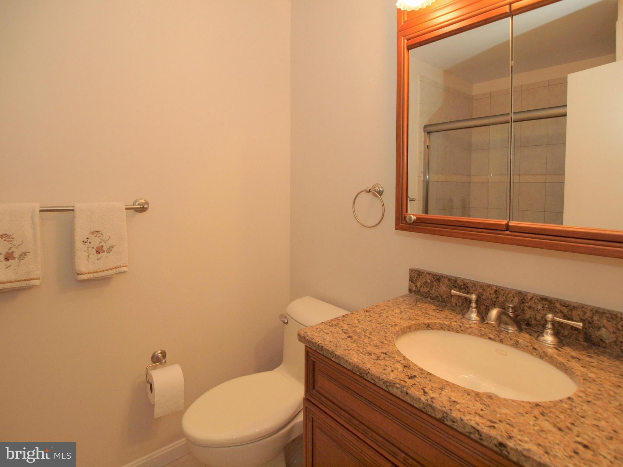 7219 Reservation Drive Springfield, VA 22153 - Photo 16 of 28 Bath (Master)