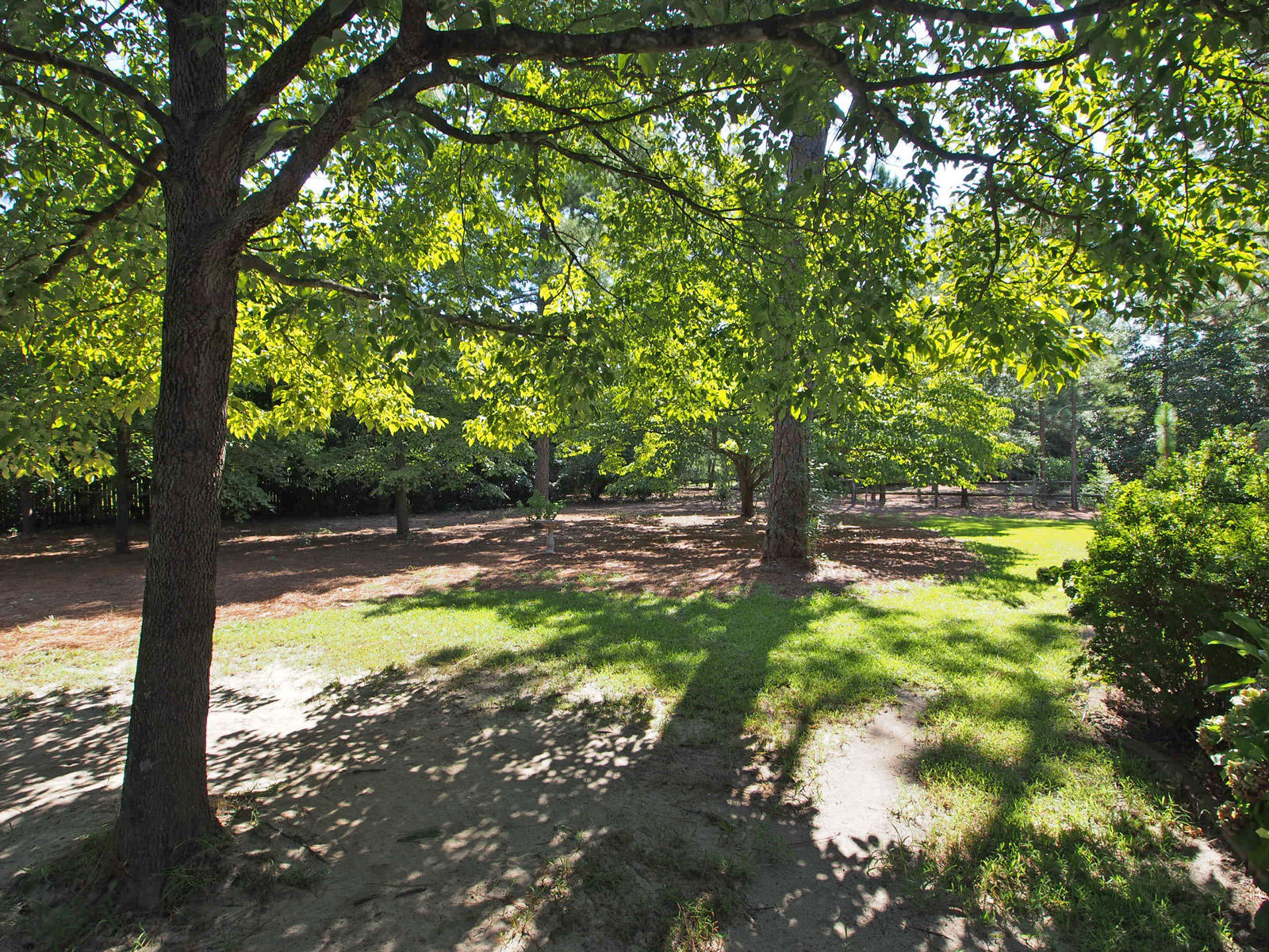 80 Dalrymple Road Pinehurst, NC 28374 - Photo 26 of 29 yard2