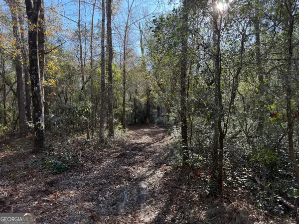 $359,000 | 3833 Old Louisville Road, Guyton, GA 31312