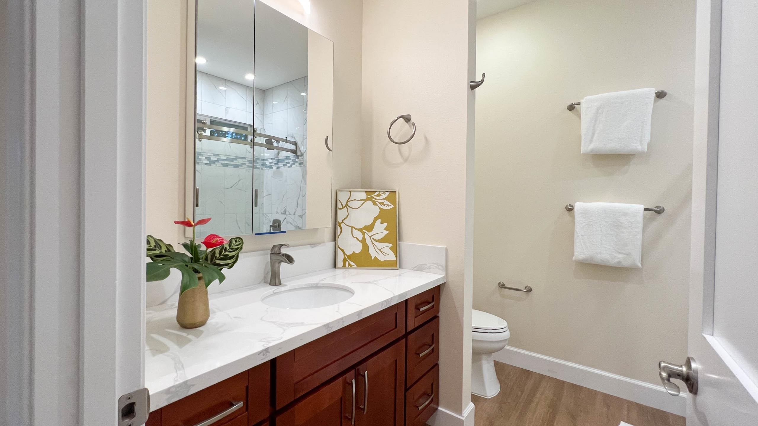 2728 Kaupakalua Road, Unit B Haiku, HI 96708 - Photo 20 of 29 a bathroom with a granite countertop sink a toilet and a mirror