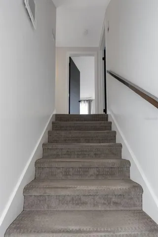 a view of backyard with plants and large trees