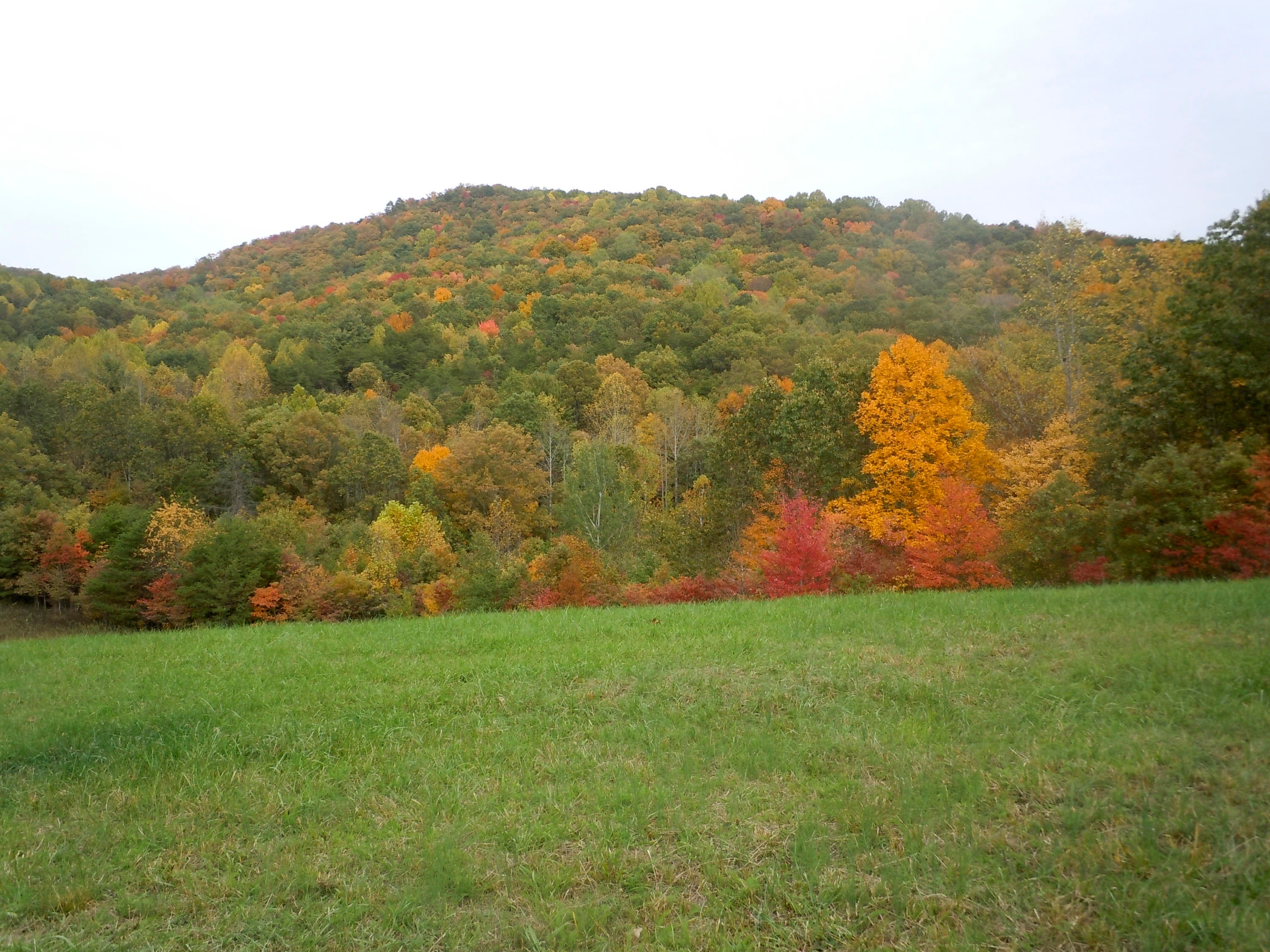 455 Bruce Allen Road Hinton, WV 25951 - Photo 3 of 11 Gallery Image 3