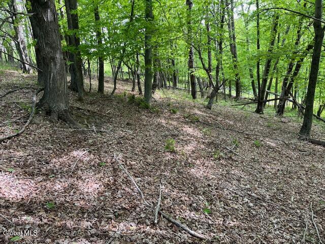 L9 Harrington Road Gilboa, NY 12076 - Photo 10 of 27 IMG_5396
