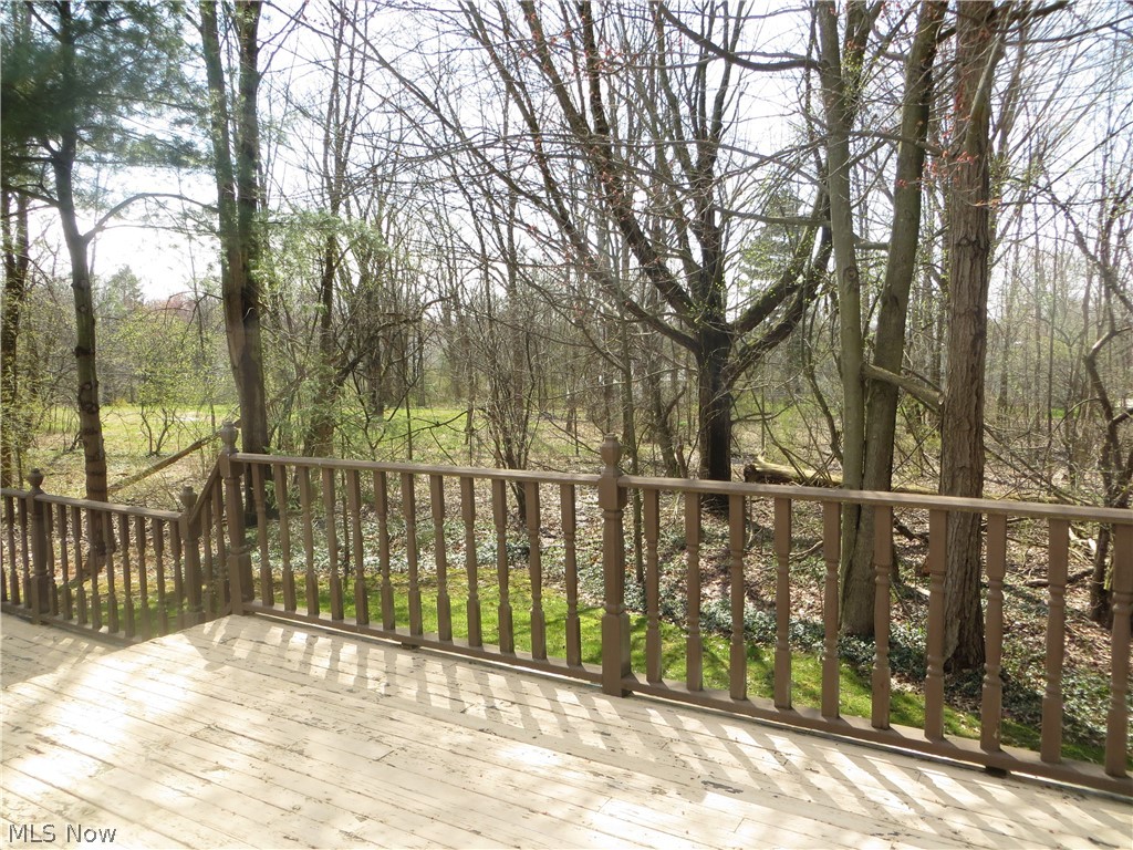 105 Mapleridge Road Chagrin Falls, OH 44022 - Photo 29 of 29