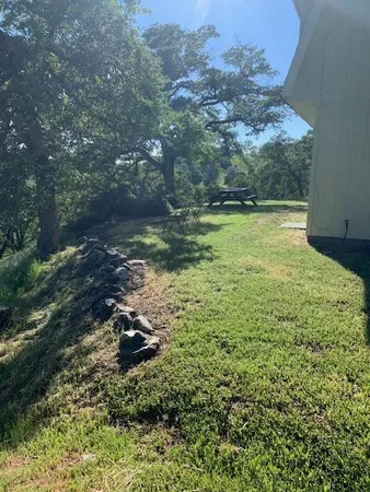 a view of a yard with a tree