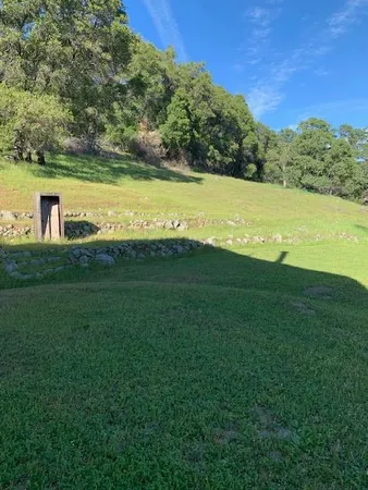 a view of a dry yard with trees