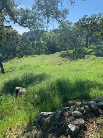 a view of a field with trees in the background