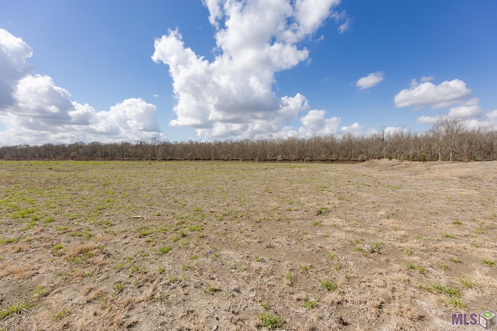 6026 Mill Town Road Brusly, LA 70719 - Photo 10 of 11