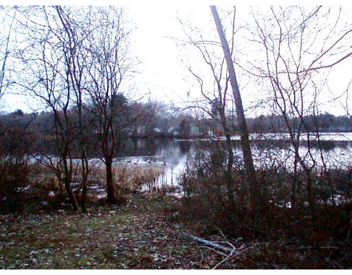 81 East Shore Road Holbrook, MA 02343 - Photo 9 of 30 Gallery Image 9