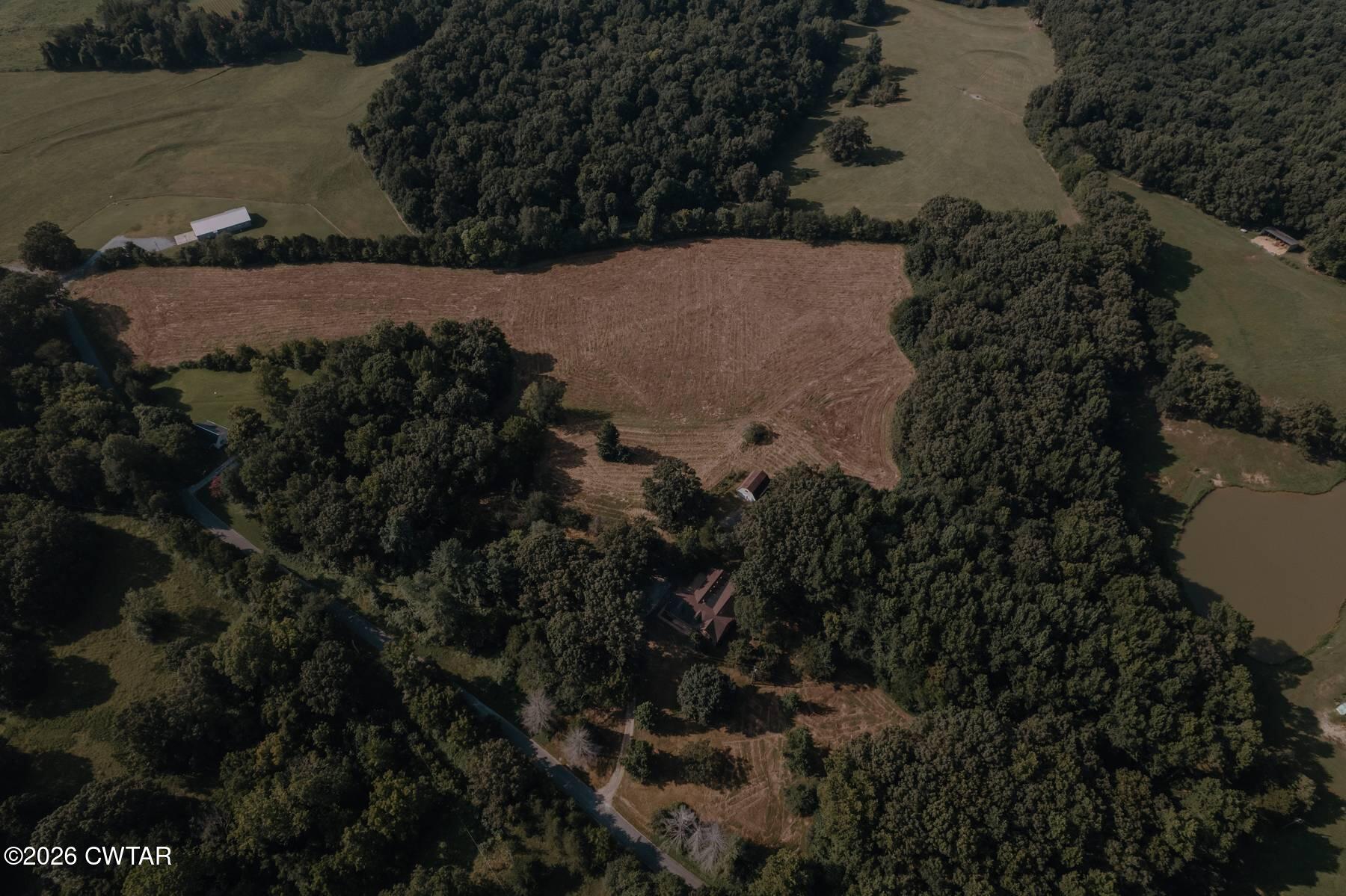 455 Holder Road Cedar Grove, TN 38321 - Photo 8 of 45 MaddyJayne-4