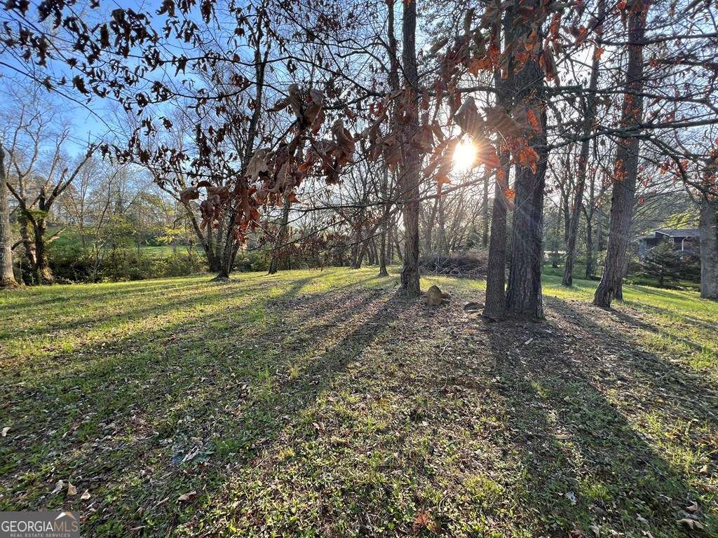 Lot 2 Preserve Road Murphy, NC 28906 - Photo 12 of 23