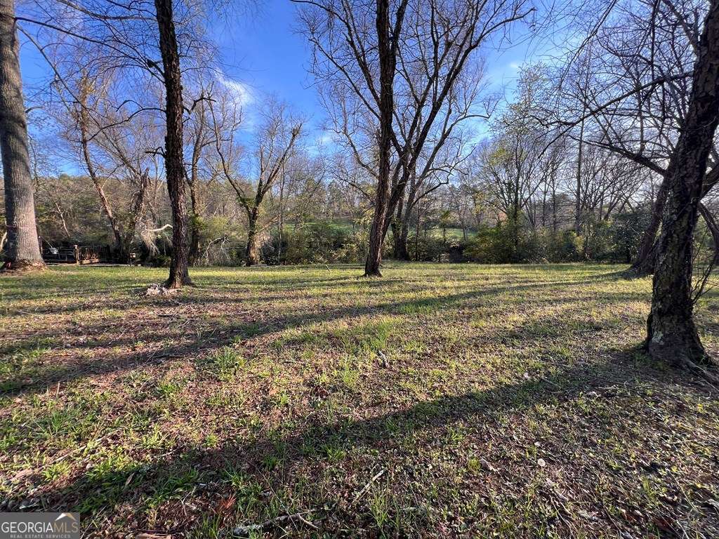 Lot 2 Preserve Road Murphy, NC 28906 - Photo 18 of 23