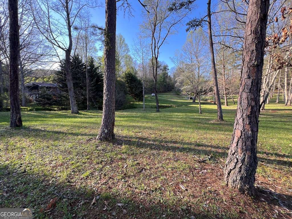 Lot 2 Preserve Road Murphy, NC 28906 - Photo 20 of 23