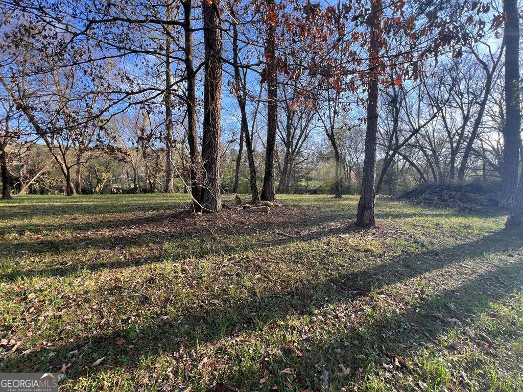 Lot 2 Preserve Road Murphy, NC 28906 - Photo 21 of 23