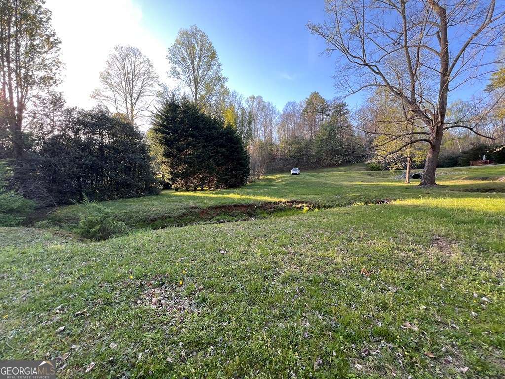 Lot 2 Preserve Road Murphy, NC 28906 - Photo 7 of 23