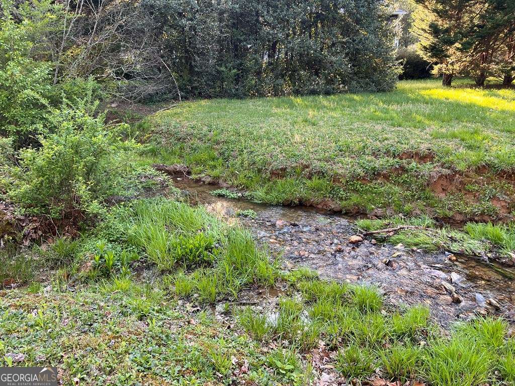 Lot 2 Preserve Road Murphy, NC 28906 - Photo 9 of 23