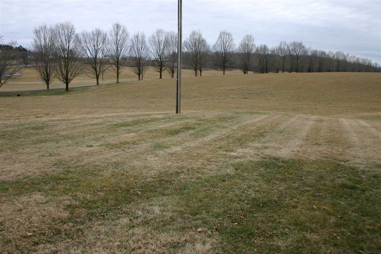 86 Fadley Road Weyers Cave, VA 24486 - Photo 5 of 21 a view of a lake with palm trees