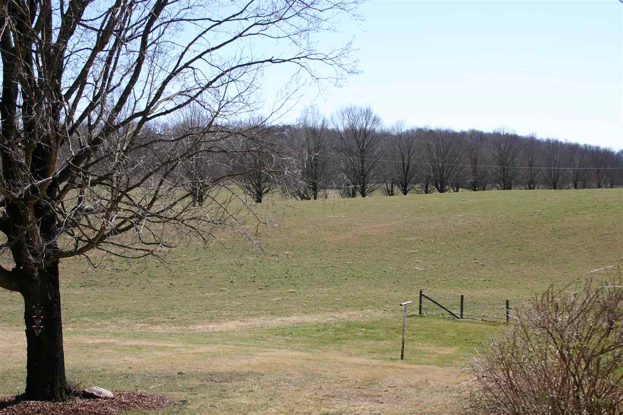 86 Fadley Road Weyers Cave, VA 24486 - Photo 8 of 21 a view of a yard with an trees