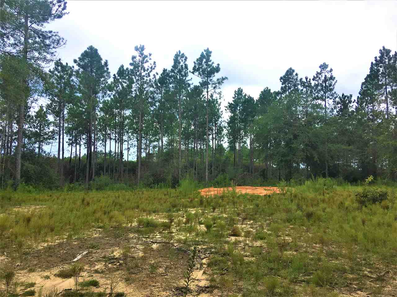 0 Dyas Road Perdido, AL 36562 - Photo 6 of 7