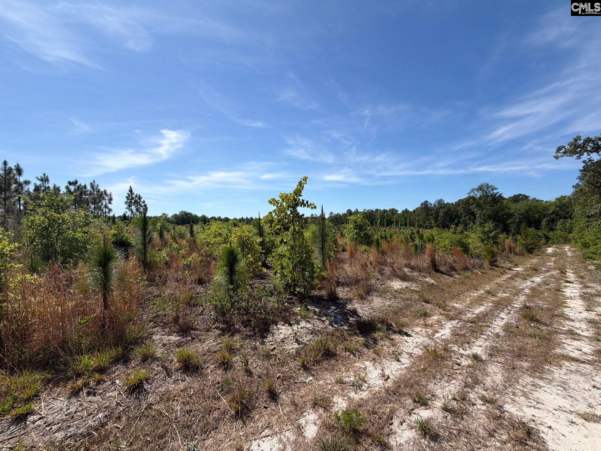 1 Holstein Road Monetta, SC 29105 - Photo 9 of 36