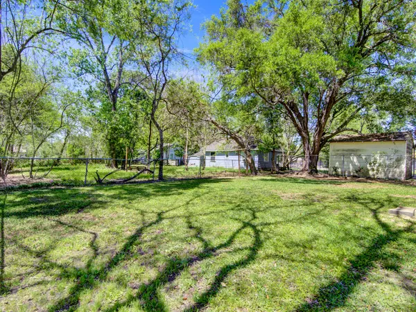 a view of a park with large trees