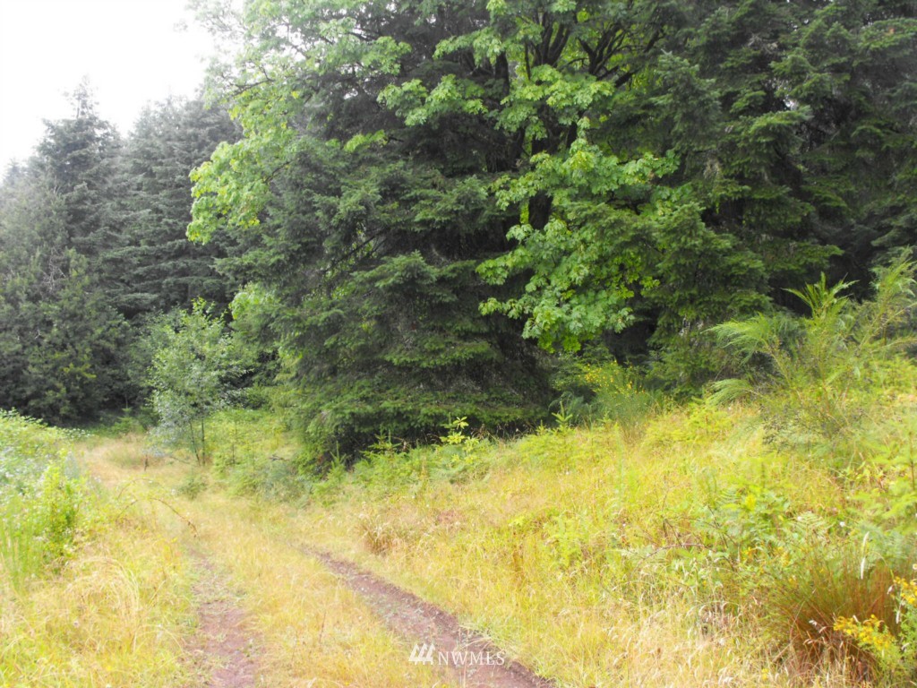 266 Corcoran Road Kalama, WA 98625 - Photo 4 of 4 Gallery Image 4