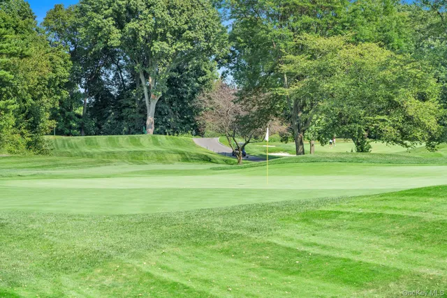 a view of a park with trees in the background
