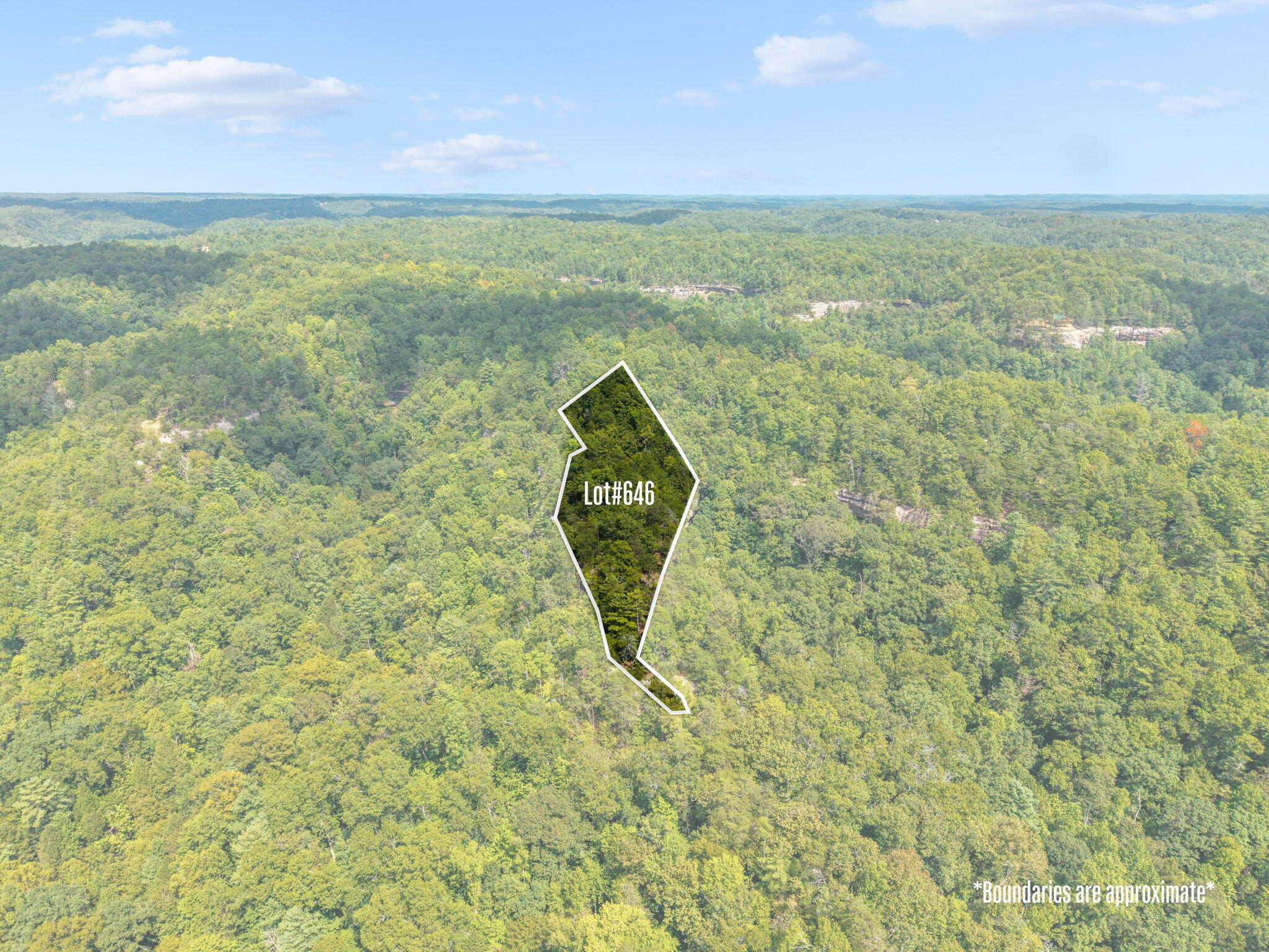 Highlands Of Rrg Lot 646 Highlands Of Rrg Trail Zoe, KY 41397 - Photo 1 of 19 49-web-or-mls-Boundaries #13