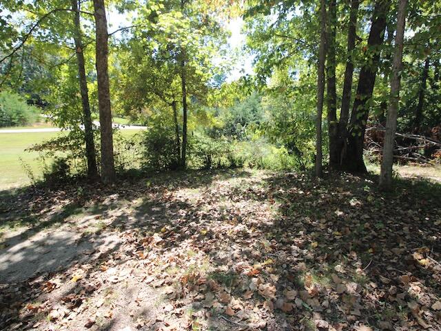 13 Gander Road Nancy, KY 42544 - Photo 27 of 100 IMG_7414