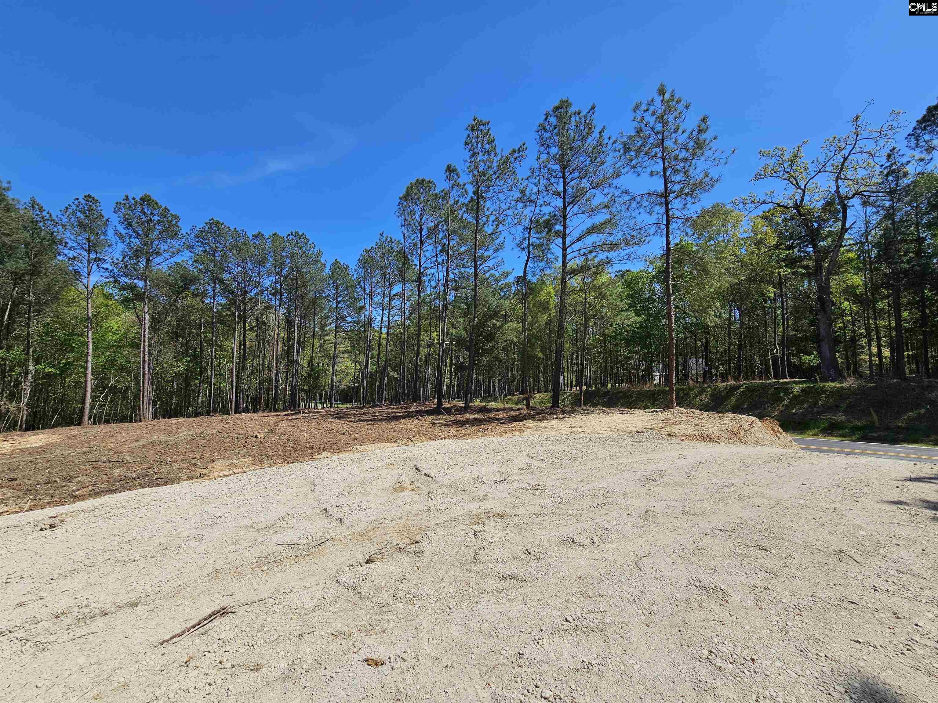 Lot 230 Granny Hill Road Prosperity, SC 29127 - Photo 5 of 42