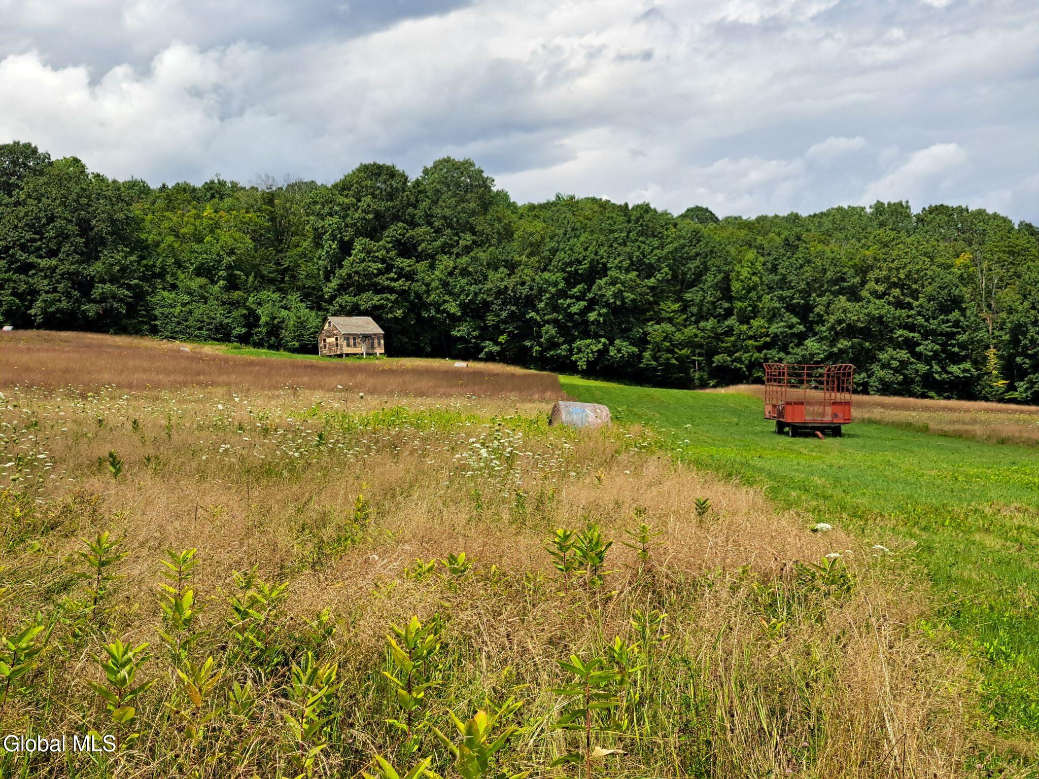 9.1 State Line Road White Creek, NY 12057 - Photo 59 of 72 60 Pasture