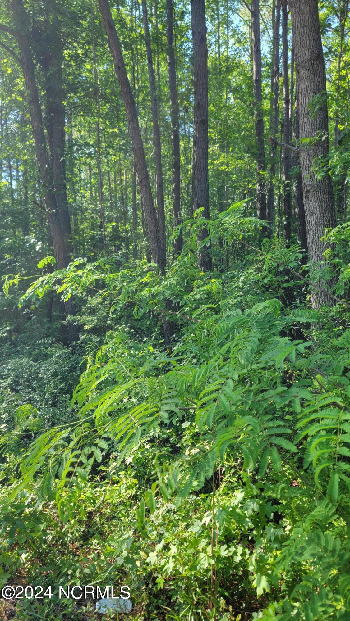 Tr-5 Funston Road Southeast Winnabow, NC 28479 - Photo 4 of 4 photo24