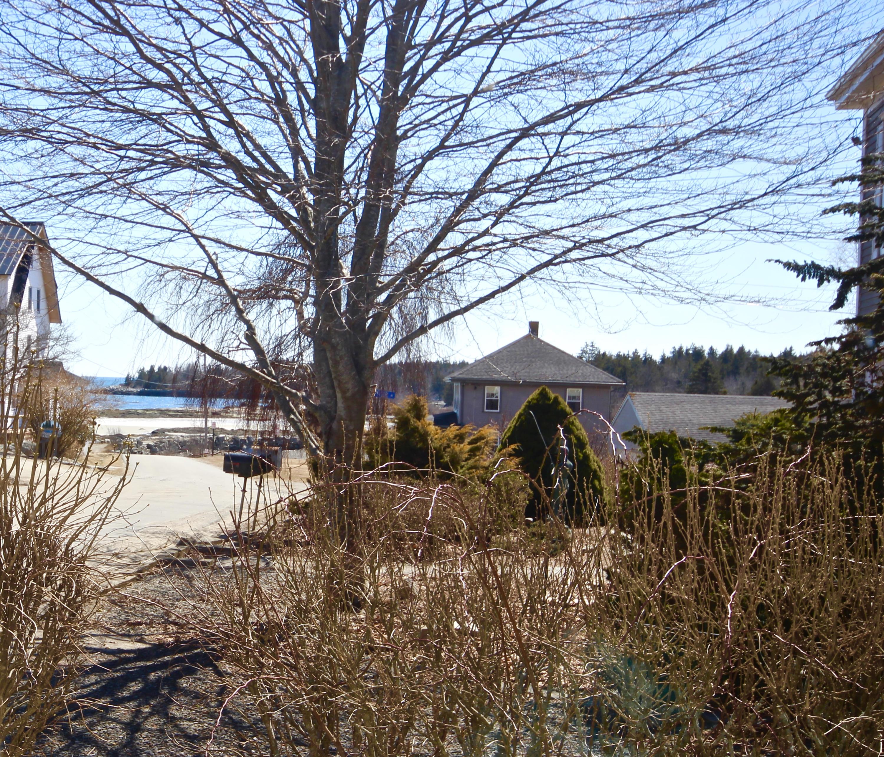 295 Clark Island Road St. George, ME 04859 - Photo 4 of 38 IMG_4023