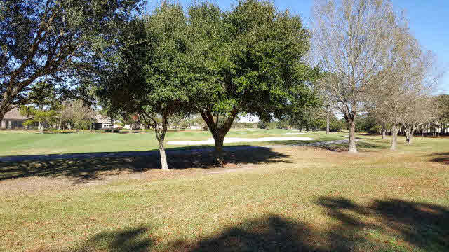 100 Craigend Loop Gulf Shores, AL 36542 - Photo 13 of 39