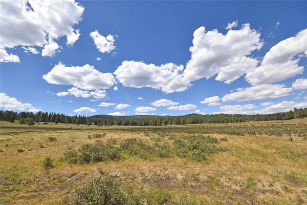 $109,000 | 4 A Wetherill Cabin Sites, Coyote, NM 87012