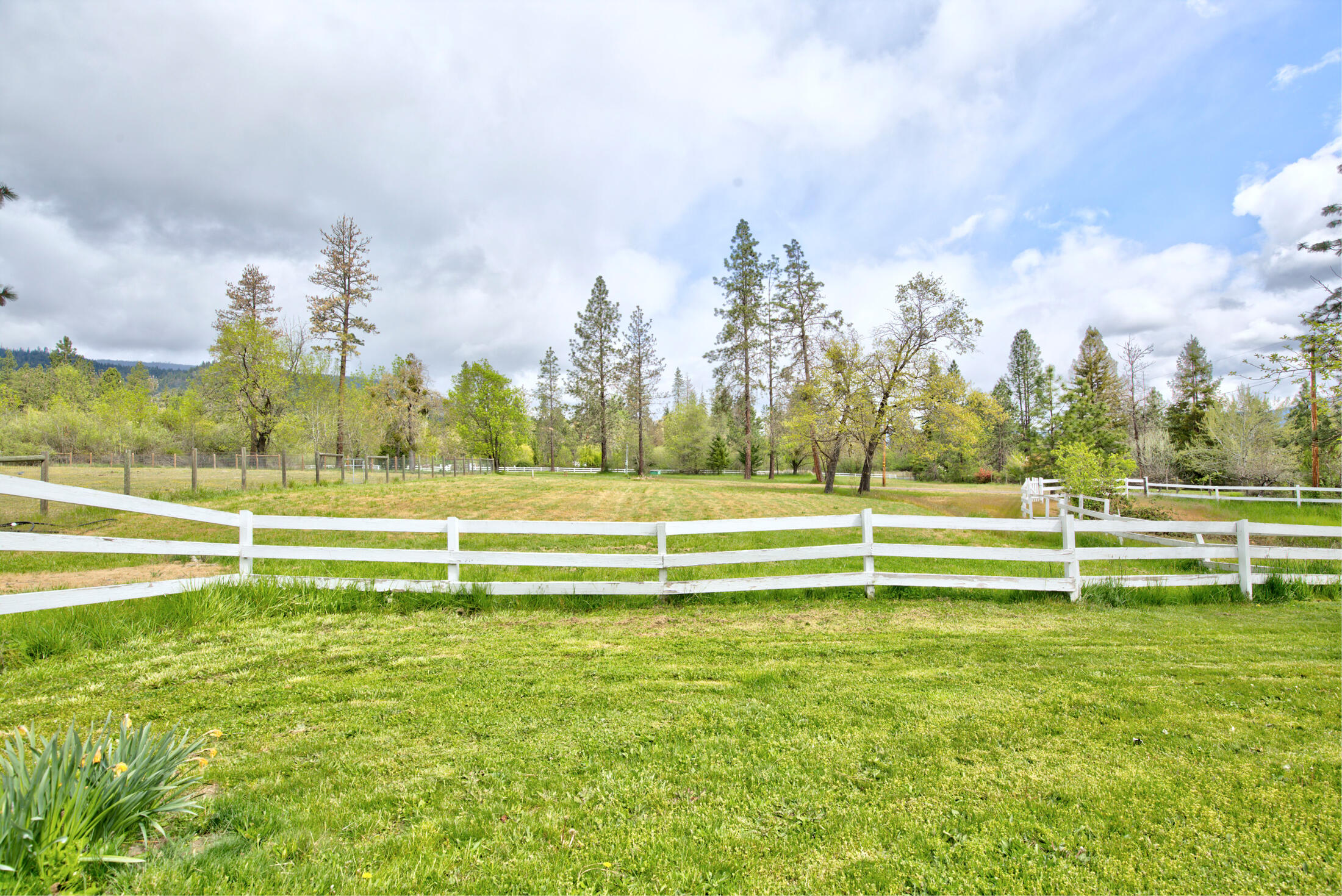 505 Horizon Hills Road Williams, OR 97544 - Photo 50 of 66 horizon042
