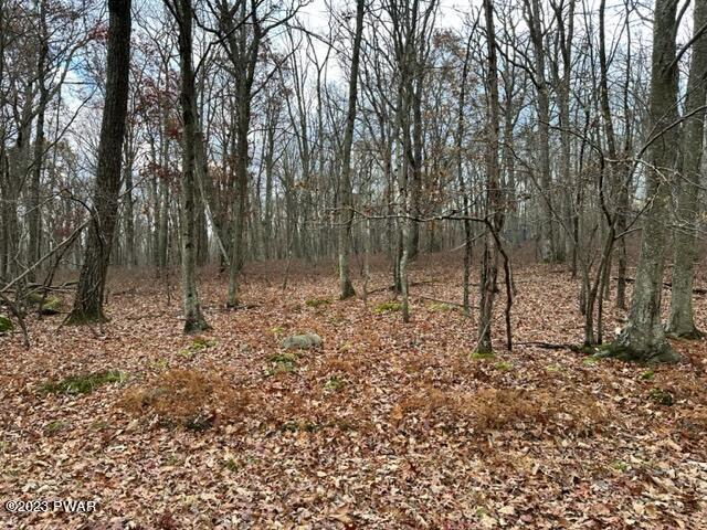 149 Mountain Top Road Lackawaxen, PA 18435 - Photo 7 of 13