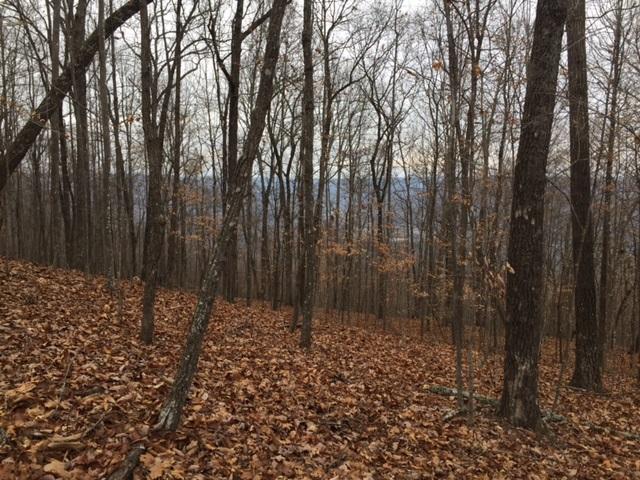 24 Jackson Point Road, Unit 24 Sewanee, TN 37375 - Photo 1 of 10 IMG_2832