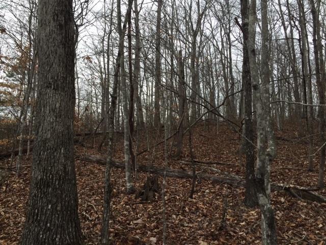 24 Jackson Point Road, Unit 24 Sewanee, TN 37375 - Photo 2 of 10 IMG_2829