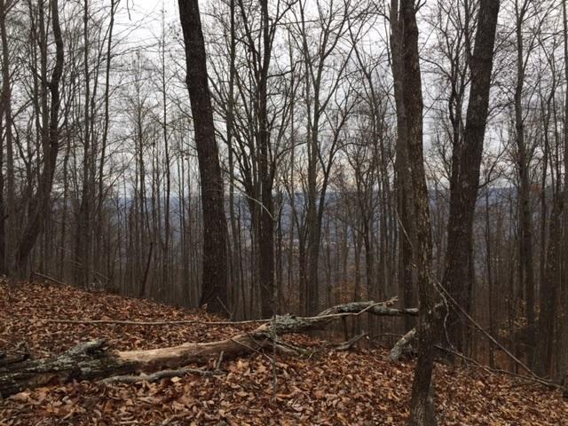 24 Jackson Point Road, Unit 24 Sewanee, TN 37375 - Photo 6 of 10 IMG_2836