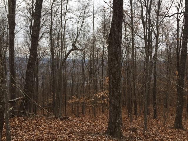 24 Jackson Point Road, Unit 24 Sewanee, TN 37375 - Photo 7 of 10 IMG_2837